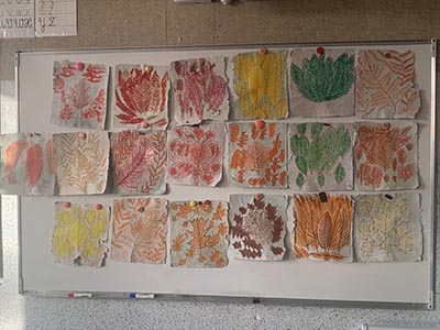 Dessin des textures des feuilles